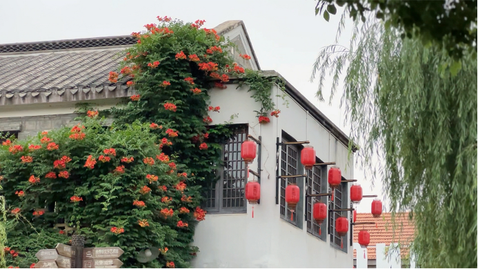 问鼎娱乐