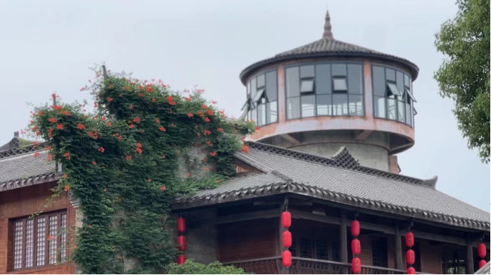 问鼎娱乐