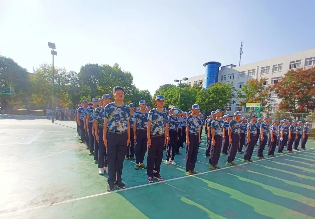 问鼎娱乐