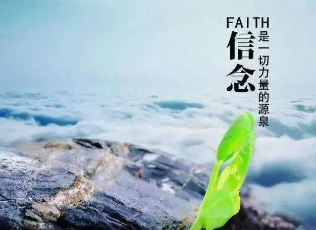 问鼎娱乐