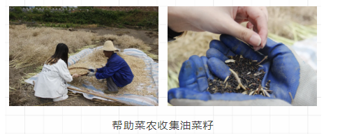 问鼎娱乐