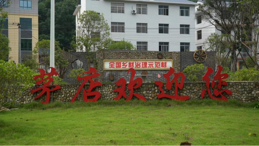 问鼎娱乐