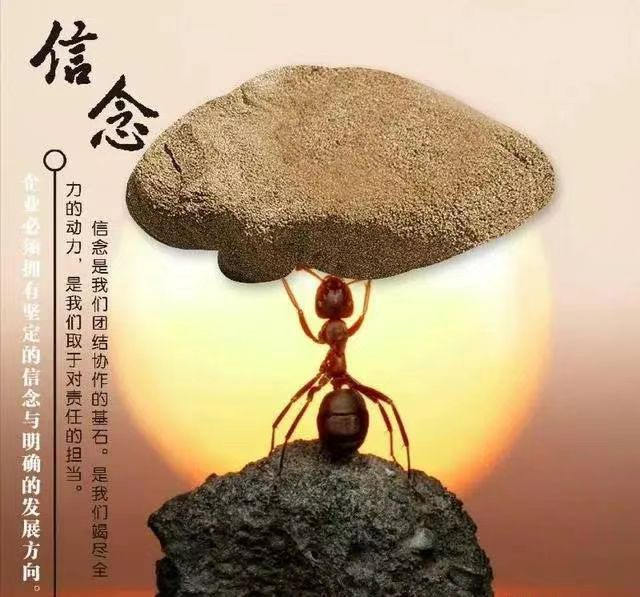 问鼎娱乐