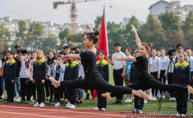 问鼎娱乐