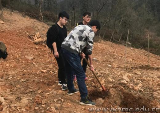 问鼎娱乐