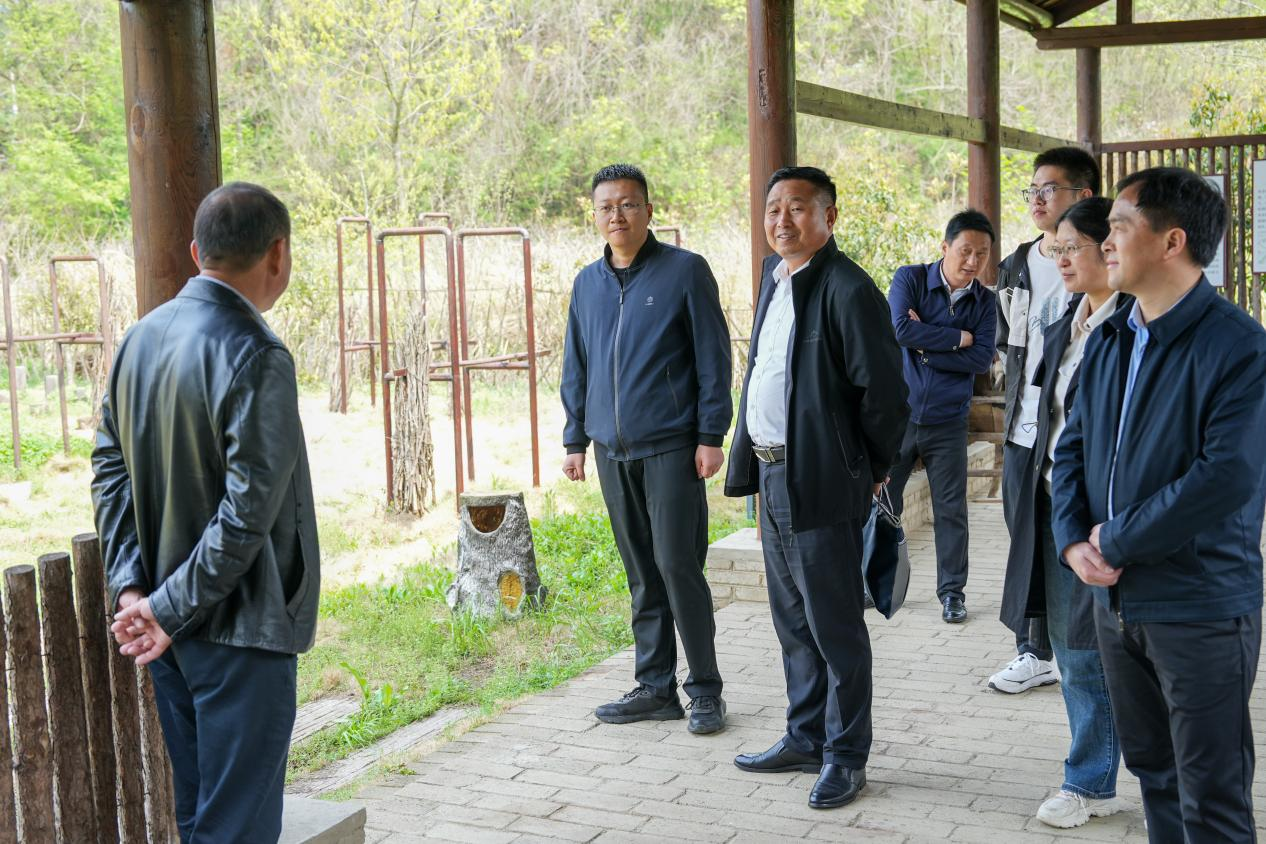 问鼎娱乐