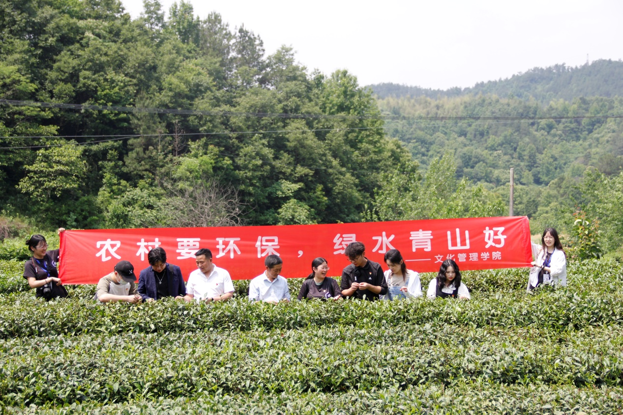 问鼎娱乐
