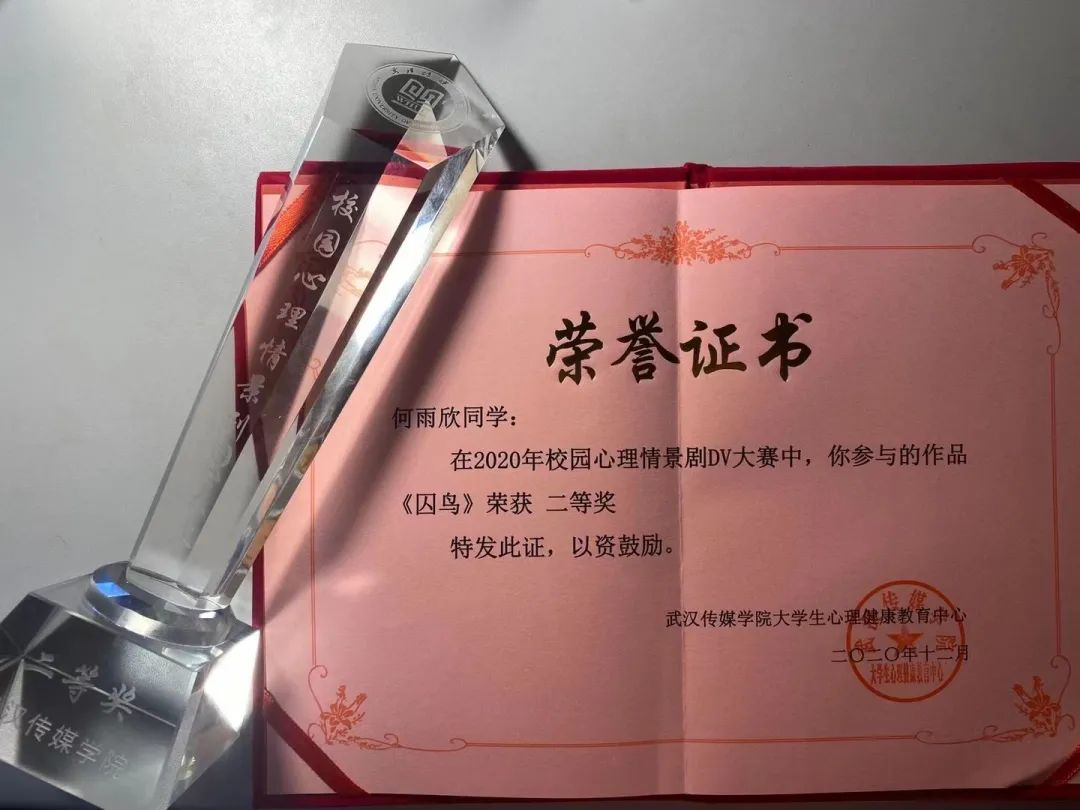 问鼎娱乐