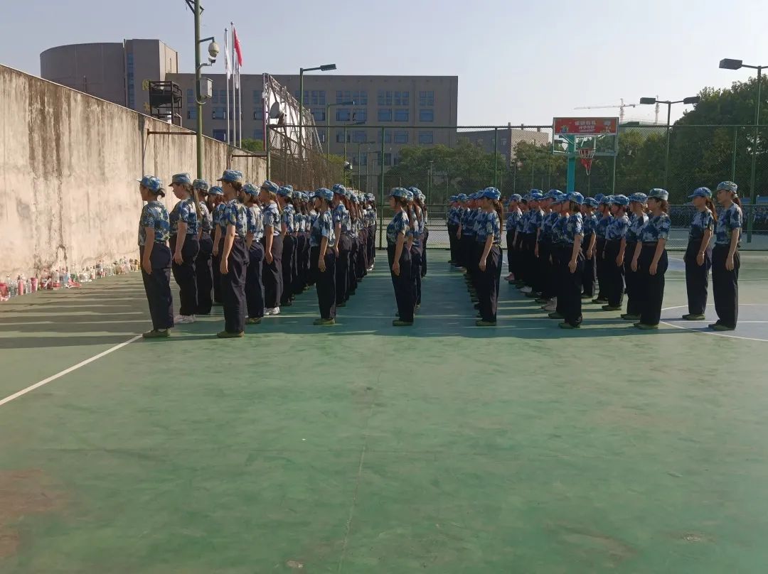问鼎娱乐