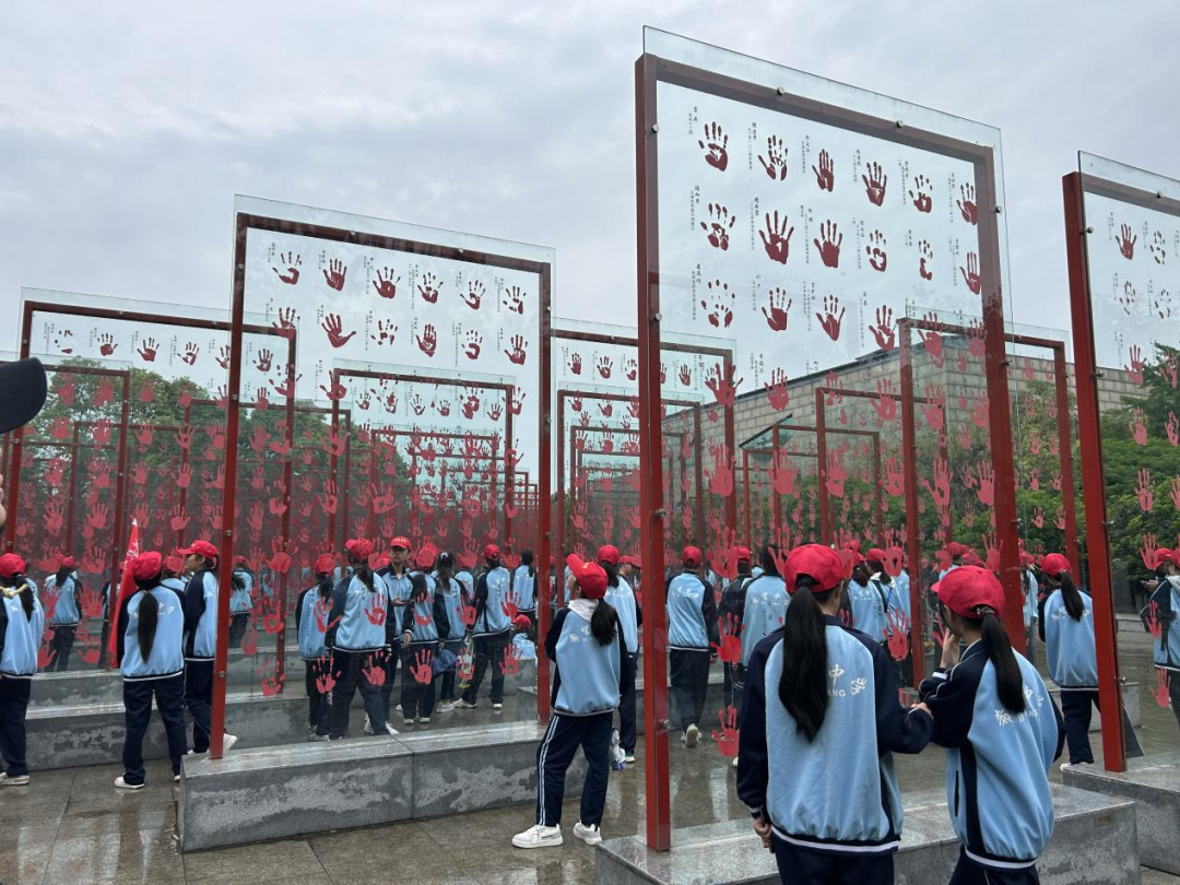 问鼎娱乐