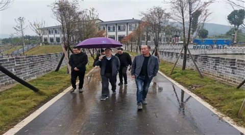 问鼎娱乐