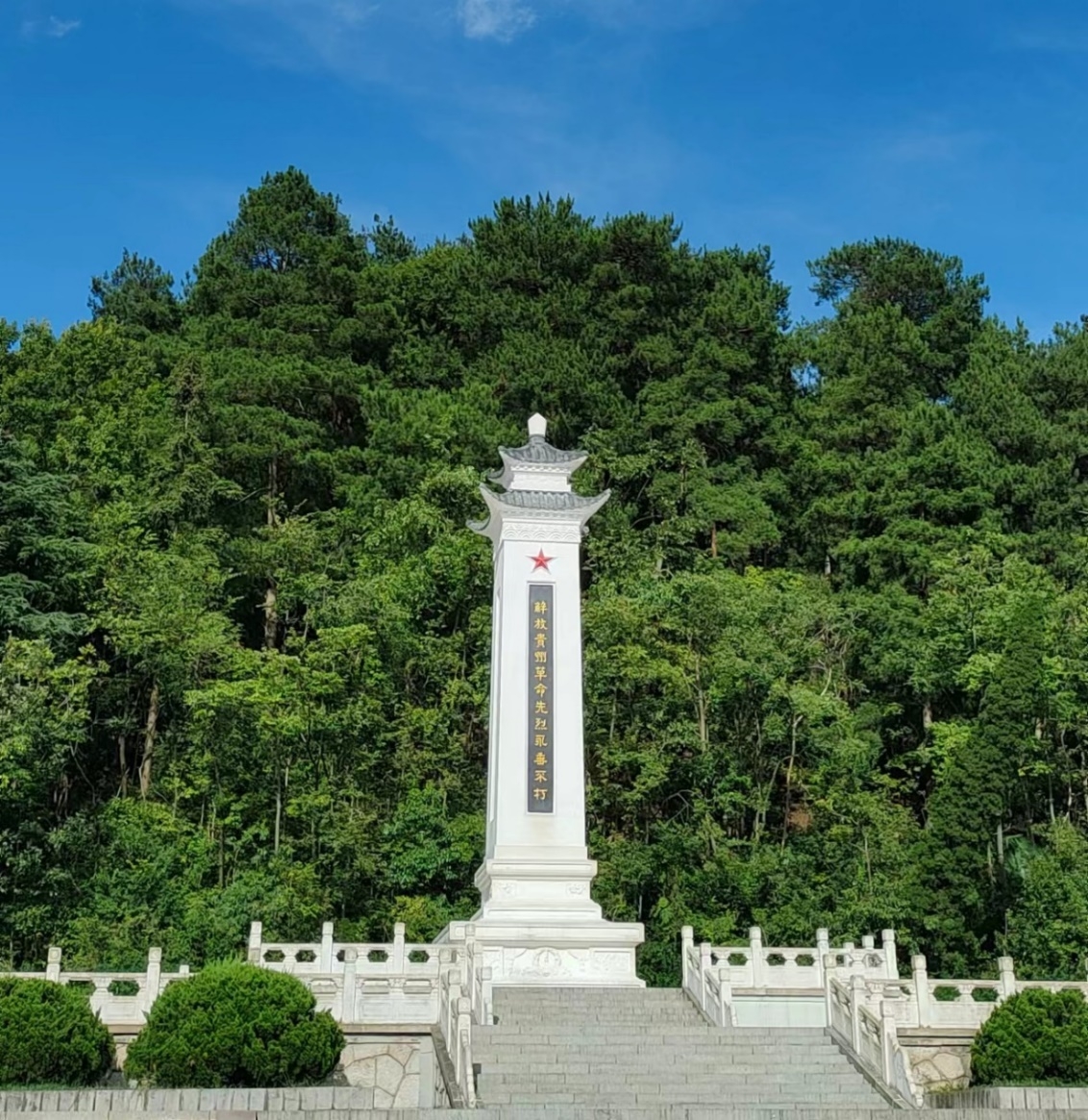 问鼎娱乐