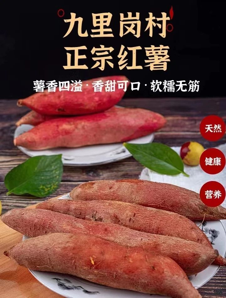 问鼎娱乐