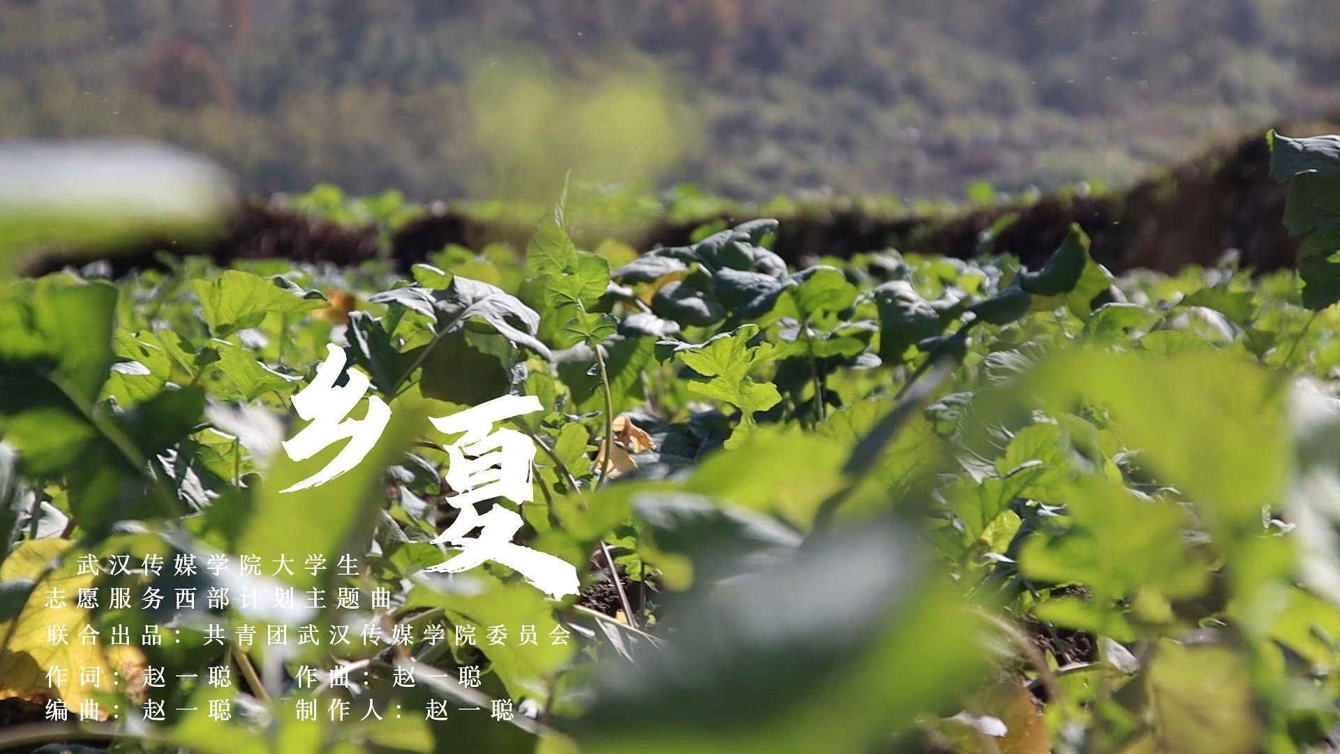 问鼎娱乐